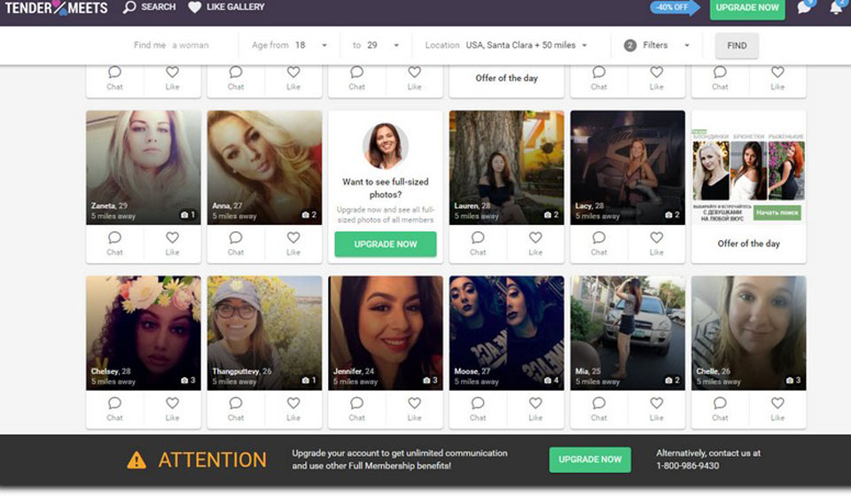 TenderMeets Member Pool Characteristics